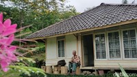 Rumah yang memiliki pemandangan langsung ke Curug Citambur ini viral usai ditawar Rp 2,5 miliar oleh seorang warga Jakarta. Namun tawaran itu ditolaknya.