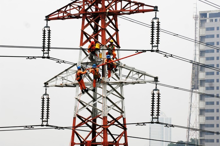 PLN