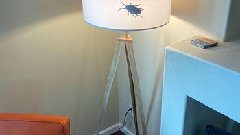 Prank bayangan kecoa di lampu yang dijamin bisa bikin jantungan. Foto: Bored Panda