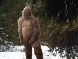 Kumpulan Prank April Mop yang Bikin Ngakak