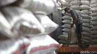 Satgas menduga kuat adanya unsur kesengajaan dalam manipulasi data, yang bisa mengganggu ketahanan pangan dan psikologis masyarakat.  Agung Pambudhy/detikcom