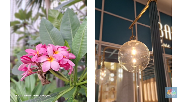 Hasil foto bokeh Samsung Galaxy A54 5G