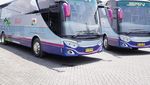 Lihat Lebih Dekat Bus PO SAN Berbalut Livery Vintage