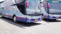 Kalau Anda mengikuti berita PO SAN, ini merupakan rilisan kedua PO SAN yang menggunakan livery klasik 33 Anniversary Edition. Sebelumnya pada April 2023, Perusahaan Otobus asal Bengkulu ini juga merilis bus livery klasik yang dibuat di karoseri Adiputro di Malang, Jawa Timur. Foto: Dok. Adiputro