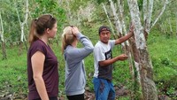 Penebang Pohon Ilegal Insaf, Kini Jadi Pahlawan TN Meru Betiri