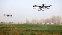 Para petani sudah memakai drone untuk menyebarkan pupuk di lahan gandum Zhaozhuang ini. CFOTO/Future Publishing/Getty Images  