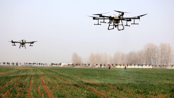 modernisasi sektor pertanian