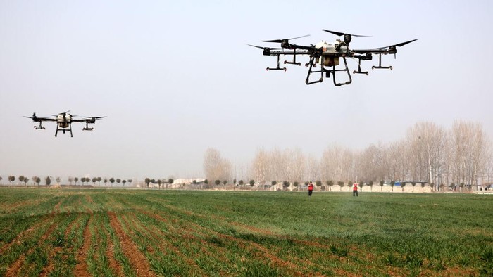 ZAOZHUANG, CHINA - MARCH 5, 2023 - Farmers operate two plant protection drones to spray foliar fertilizer on wheat in Zaozhuang, East Chinas Shandong province, March 5, 2023. (Photo credit should read CFOTO/Future Publishing via Getty Images)