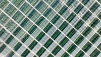 Ini adalah rumah kaca lain, pemandangan dari atas udara rumah kaca pintar di Yongning County, Yinchuan City, Ningxia Hui Autonomous Region of China. Yuan Hongyan/VCG/Getty Images  