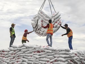 Keran Impor Ditutup, Mentan Kebut Swasembada Gula Tahun Depan