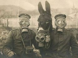 Foto Jadul Abadikan Momen Mencengangkan Zaman Dulu, Bikin Melotot!