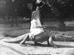 Foto Jadul Abadikan Momen Mencengangkan Zaman Dulu, Bikin Melotot!