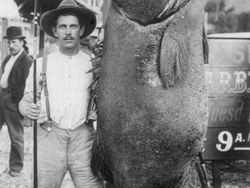 Foto Jadul Abadikan Momen Mencengangkan Zaman Dulu, Bikin Melotot!