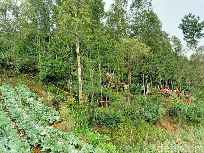 Lahan di perbukitan milik tersangka dukun pengganda uang yang digunakan untuk mengubur korban-korbannya di Banjarnegara, Senin (3/4/2023).