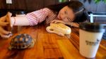 Makan Bareng Singa dan di Dalam Gua, Ini 10 Restoran dengan Konsep Keren