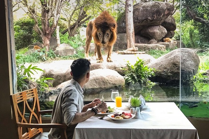 Makan Bareng Singa dan di Dalam Gua, Ini 10 Restoran dengan Konsep Keren