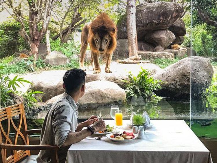 Makan Bareng Singa dan di Dalam Gua, Ini 10 Restoran dengan Konsep Keren