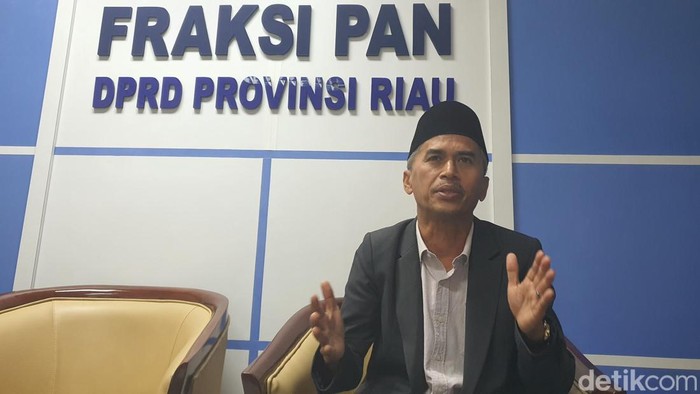 Mardianto Manan (Raja Adil Siregar/detikSumut)