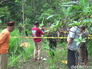 Selingkuh dengan Tetangga, Petani di Lumajang Tewas Dibunuh