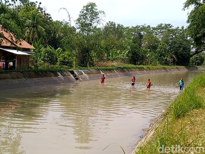 Proses pencarian bocah usia 5 tahun yang diduga tenggelam atau hanyut di Sungai Gawe, Desa Sukorejo, Kecamatan Kesesi, Kabupaten Pekalongan, Senin (3/4/2023).