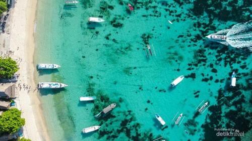 Mushroom Bay tempat terbaik untuk berenang
