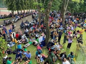 Ida Dayak Ramai Peminat karena Gratis, Sesulit Itukah Urus BPJS Kesehatan?