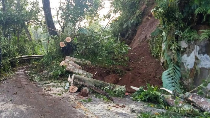 Akses menuju Pura Agung Besakih di Desa Menanga, Kecamatan Rendang, Kabupaten Karangasem, Bali, tertimbun longsor dan pohon tumbang pada Selasa (4/4/2023).