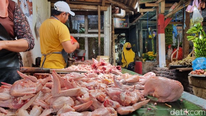 daging ayam di surabaya