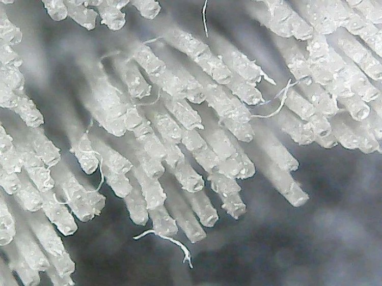 Foto mikroskop