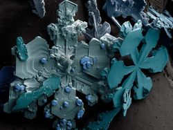 Foto Menakjubkan Terlihat Melalui Mikroskop