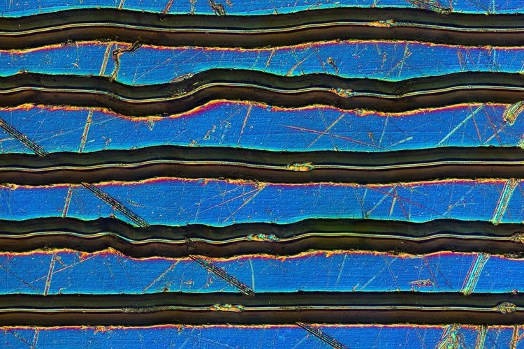 Foto mikroskop