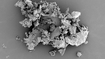 Foto debu di bawah mikroskop.  Foto: Ranker