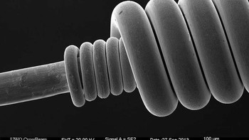 Sinar gitar bass. Foto: Ranker