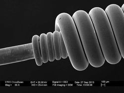 Foto Menakjubkan Terlihat Melalui Mikroskop