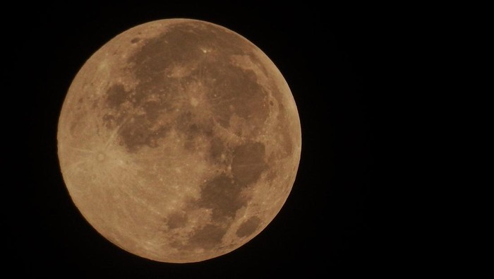 Ilustrasi Pink Moon atau Bulan Purnama Merah Jambu