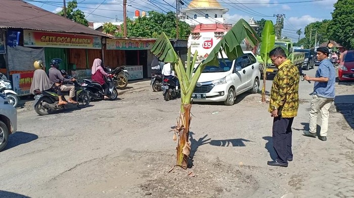 Jalan rusak di Jambi ditanami pohon pisang oleh warga sebagai bentuk protes meminta diperbaiki.