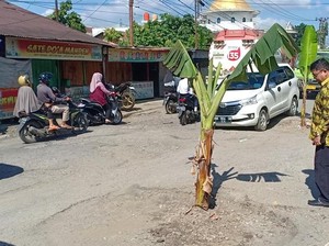DPRD Minta Pemprov Jambi Perbaiki Jalan Rusak yang Ditanami Pohon Pisang