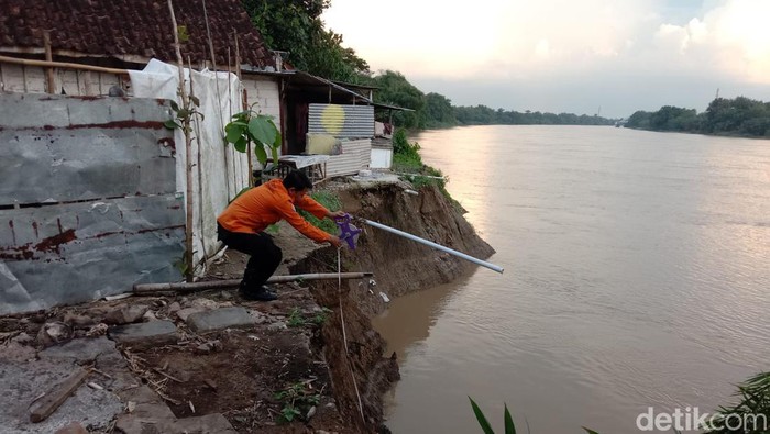 Lima rumah warga Ledok Kulon, Kecamatan Kota Bojonegoro, terancam longsor karena jarak dengan bengawan solo tinggal satu meter saja