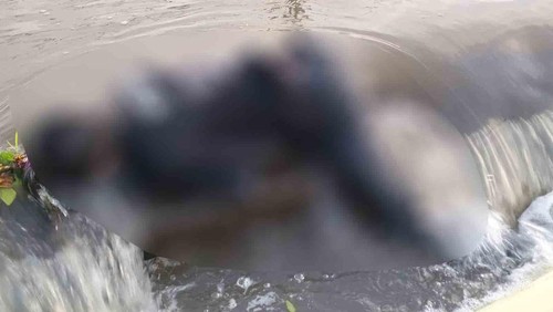 Mayat pria di saluran irigasi di Desa Angantaka, Kecamatan Abiansemal, Badung, Selasa (4/4/2023). (IST)