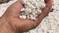 Batu putih yang biasa ada di pinggir pantai ini juga terlihat seperti makanan enak. Bentuknya yang kecil dan bergemlombang membuat tampilannya seperti popcorn. Foto: Instagram/Twitter