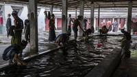 Keseharian para santri di pesantren dihabiskan untuk belajar dan mengkaji Al-Quran dan kitab-kitab yang ditulis para ulama dan intelektual Islam di dunia.   