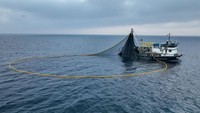 Pemandangan udara dari kapal Rifat Reis 3 tengah menjaring ikan di tengah laut lepas di Izmir, Turki.