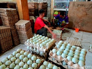 Produsen Telur Asin Sambat Harga Bahan Meroket Jelang Lebaran