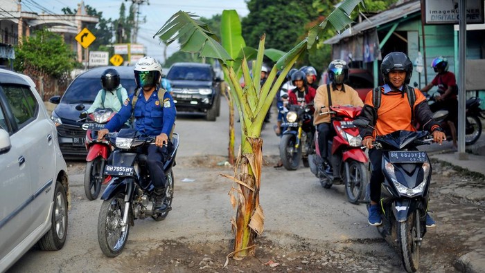 Pengendara melintasi Jalan DR. Siwabessy yang rusak dan ditanami pohon pisang di Telanaipura, Jambi, Selasa (4/4/2023). Penanaman pohon pisang di jalan alternatif penghubung Kota Jambi dengan Kabupaten Muaro Jambi itu dilakukan sebagai bentuk protes atas kerusakan jalan yang telah terjadi dan tidak kunjung diperbaiki sejak setahun terakhir. ANTARA FOTO/Wahdi Septiawan/foc.