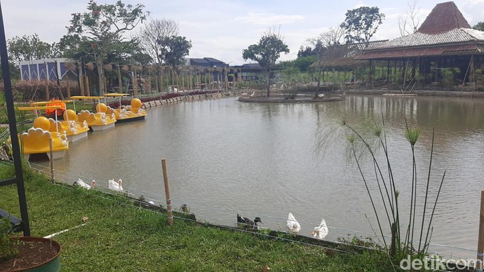Tepi Kota Healing Bandung.