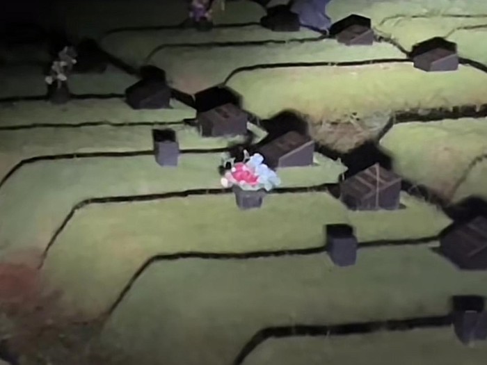 Video viral di media sosial.