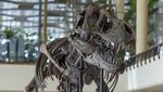Wujud Kerangka T-Rex Berusia 67 Juta Tahun Bakal Dilelang di Swiss