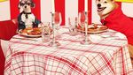 Bikin Gemas! 10 Pose Makan Mewah Tinkerbelle, Anjing Selebgram yang Modis