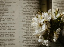 100+ Kata-kata Jumat Agung 2026 Lengkap: Menyentuh hingga Penuh Renungan