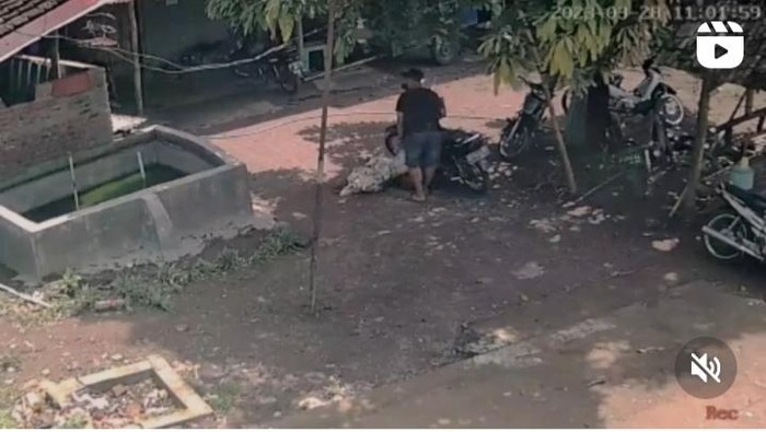 Unggahan pencurian motor petani di infocegatanklaten.